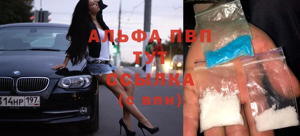 сатива Алексин
