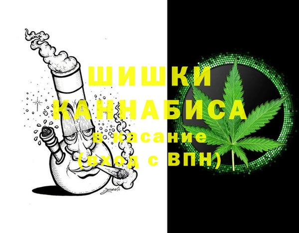 сатива Алексин