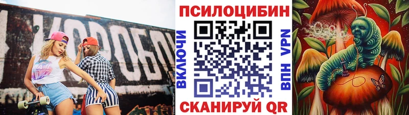 где купить   Серов  Псилоцибиновые грибы Psilocybine cubensis 